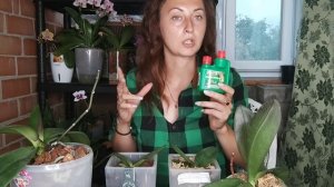 ВСЕГО 5 МЛ в КОРНИ Орхидеи и БУРНЫЙ РОСТ РАСТЕНИЯ ОБЕСПЕЧЕН