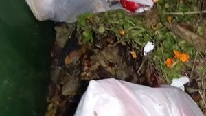 388?Поедем поглядим? Мусорка как всегда, порадовала находочками?????