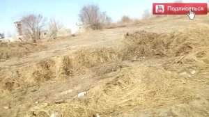 Я живу в Тольятти - Свалка мусора за ТЦ ПАРК ХАУС кто будет убирать