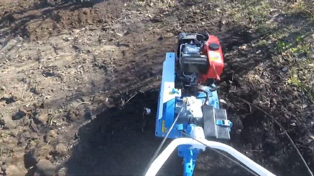 Вспашка мотоблоком Нева МБ 23-СД27 (2018) смотреть онлайн