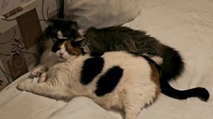 ДНЕПР 🩸БЬЮ БАЙДЫКИ ‼️18.02.2024.