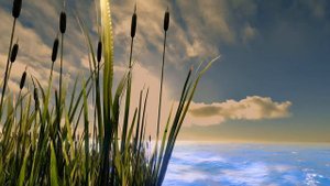 Футажи моря перед грозой морские реалистичные  футажи HD красивые для видео монтажа