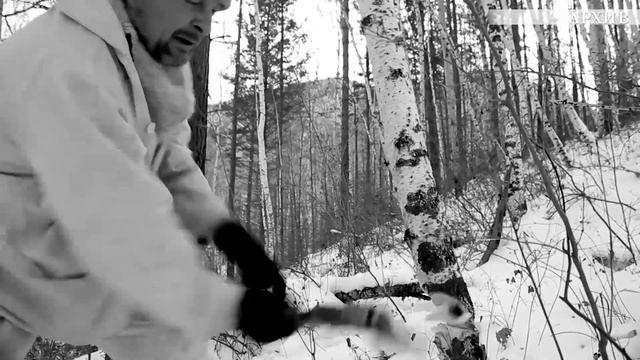 Охота на берлоге смотреть онлайн