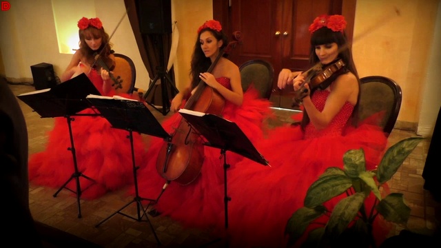 Музыкальное сопровождение (встреча гостей) - струнное трио Violin Group DOLLS