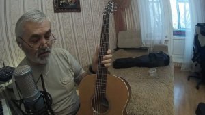 Увлажнитель для акустической гитары