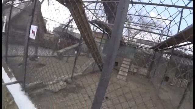 Читинский зоопарк. 27.04.2019