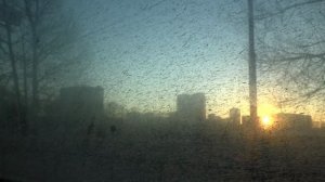 Одинцово, маршрутка 10, участок Отрадное - Платформа Одинцово