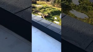 Фальцевый парапет на плоскую кровлю