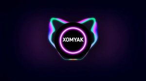 Самый жесткий басс в мире