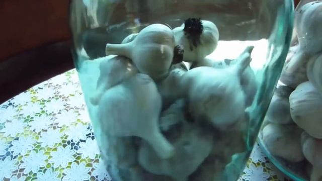 Когда убирать посаженный чеснок: 10 способов хранения смотреть онлайн