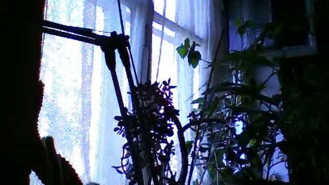 Видео c веб-камеры от 3 июня 2015 г., 06:30 (UTC) смотреть онлайн