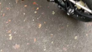 BMW R1200GS Adventure Stock exhaust, звук выхлопа