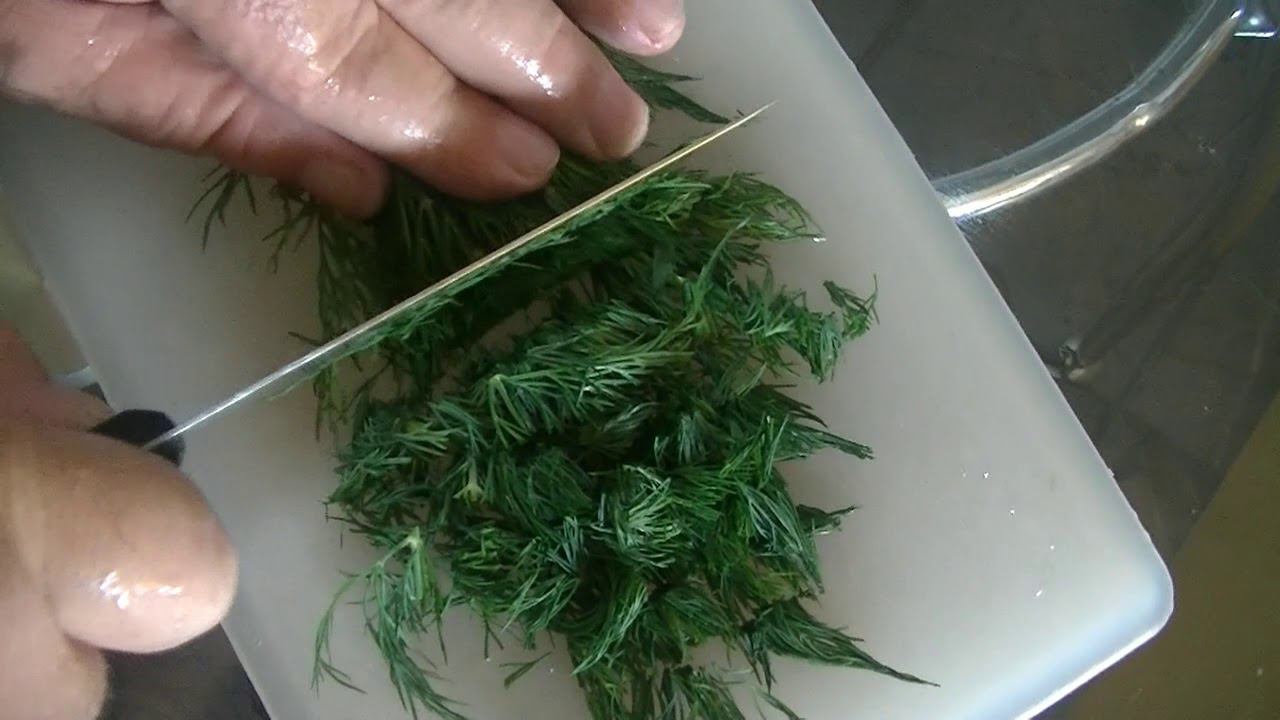 Болгарская кухня  Таратор Bulgarische Küche Kochen Tarator