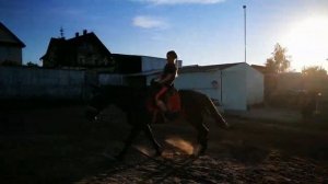 ВЕРХОВАЯ ЕЗДА ( ГАЛОП) ? МОЁ ДВЕНАДЦАТОЕ ЗАНЯТИЕ ВЕРХОВОЙ ЕЗДЫ?