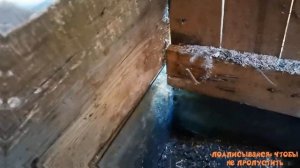 Как защитить курятник от хищника? "Мое Подворье"