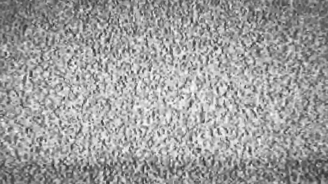 Встреча узбекского актера Отабека Махкамова с мировым коллегой Дэниелем Рэдклиффом смотреть онлайн