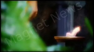 Кто Такие АМАЗОНКИ и где они ЖИВУТ