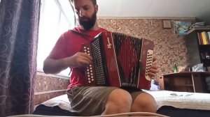 Гармонь Ивушка. обзор для Авито.