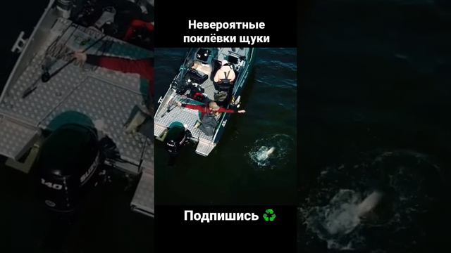 Обожаю поклёвки щуки. Подводная съёмка)