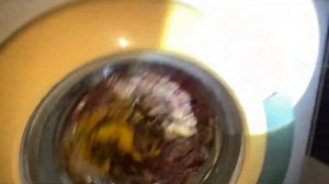 BEKO WMN 6358 SE - Short cotton 60*C (program “X”) part 2