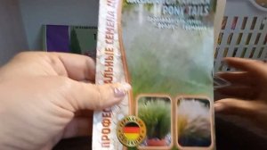 Ковыль "Фейерверк" и "" Пони тейл"