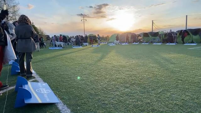 Суздаль. 6 мая. Бесты. начиная с Гордости России смотреть онлайн