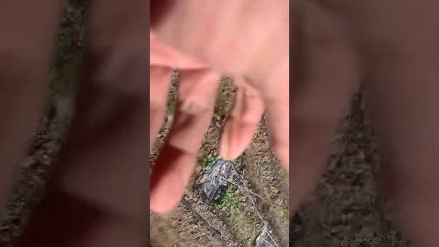 Нанокремний испытание смотреть онлайн