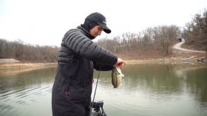 Jerkbait fishing in 39 DEGREE WATER! 🥶 // Project E