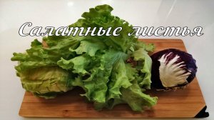Салатные Листья.Виды Салатов.Как правильно хранить?Лайфхак