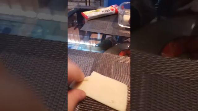 Моя собака любит сыр. смотреть онлайн