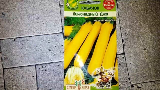 Кабачок Лимонадный Джо - описание сорта смотреть онлайн