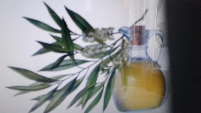 Масло чайного дерева:полезные свойства и применение. смотреть онлайн