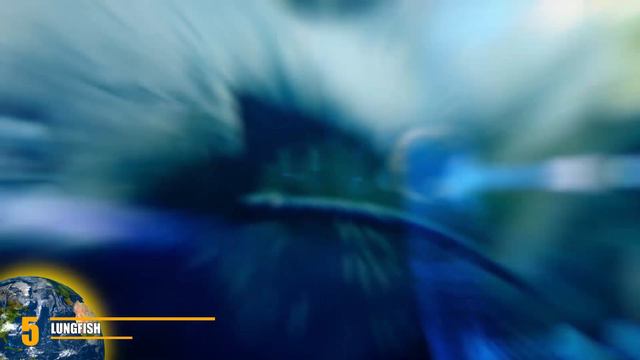 10 Animals That That Will Definitely Put Up a Fight смотреть онлайн