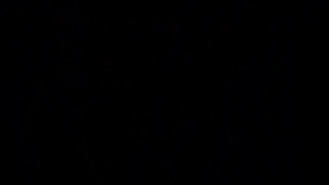 Турецкий бройлер росс. Или Турецкое г.....но. Закладка и овоскопирование Турецкого яйца.