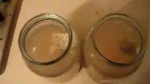 Биопрепарат для выгребных ям Septifors. Part #4