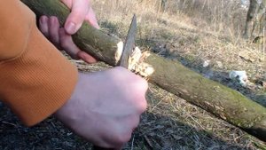 Mora 510 (самая бюджетная) Тест