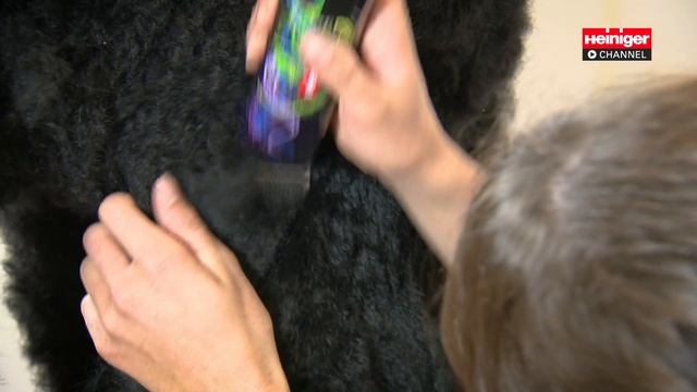 Heiniger StyleMidi and StyleMini battery trimmer смотреть онлайн