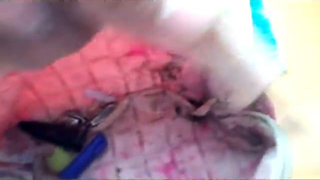 Что есть в школе в сумке девушки смотреть онлайн