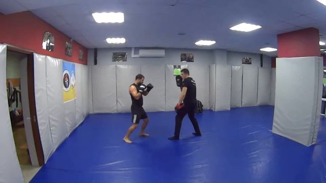 Работа на лапах - нюансы при работе на лапах. Миксфайтер Киев. смотреть онлайн