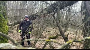 Гриб трутовик - лучшее топливо для дымаря