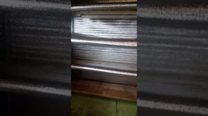 Выращивание рассады в помещении