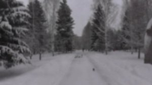 Снег идет. Красивые зимние пейзажи Новосибирск.