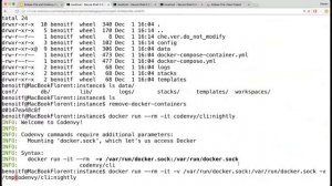 Che Integrated Docker CLI Demo