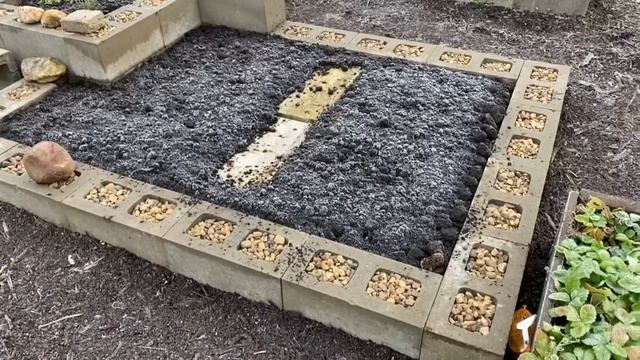 09.11.20. Укрыла череночник.