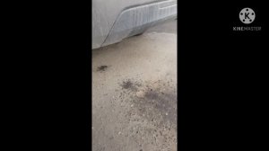 Лада Гранта троит двигатель