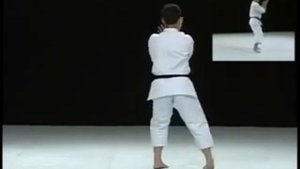 Saifa   Shito Ryu Karate Do Kata & Bunkai