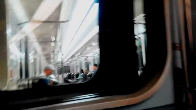 Поездка от Станции Метро "Василеостровская" до "Приморской" (Санкт-Петербург). 3 линия (НВЛ). смотреть онлайн