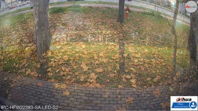 IPC HFW2239S SA LED S2 Full-color kamera, éjszakai teszt смотреть онлайн
