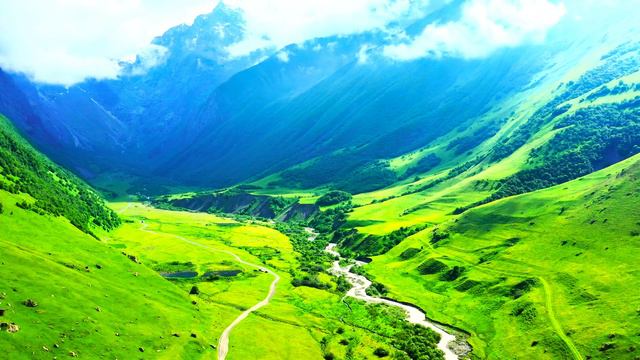 Лучший Визуальный шедевр 12K HDR 120fps Dolby Vision смотреть онлайн