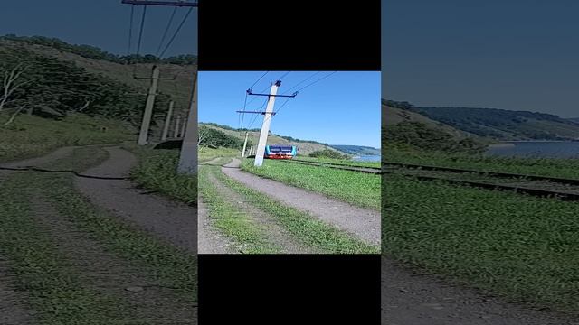 VID_20240804_152933